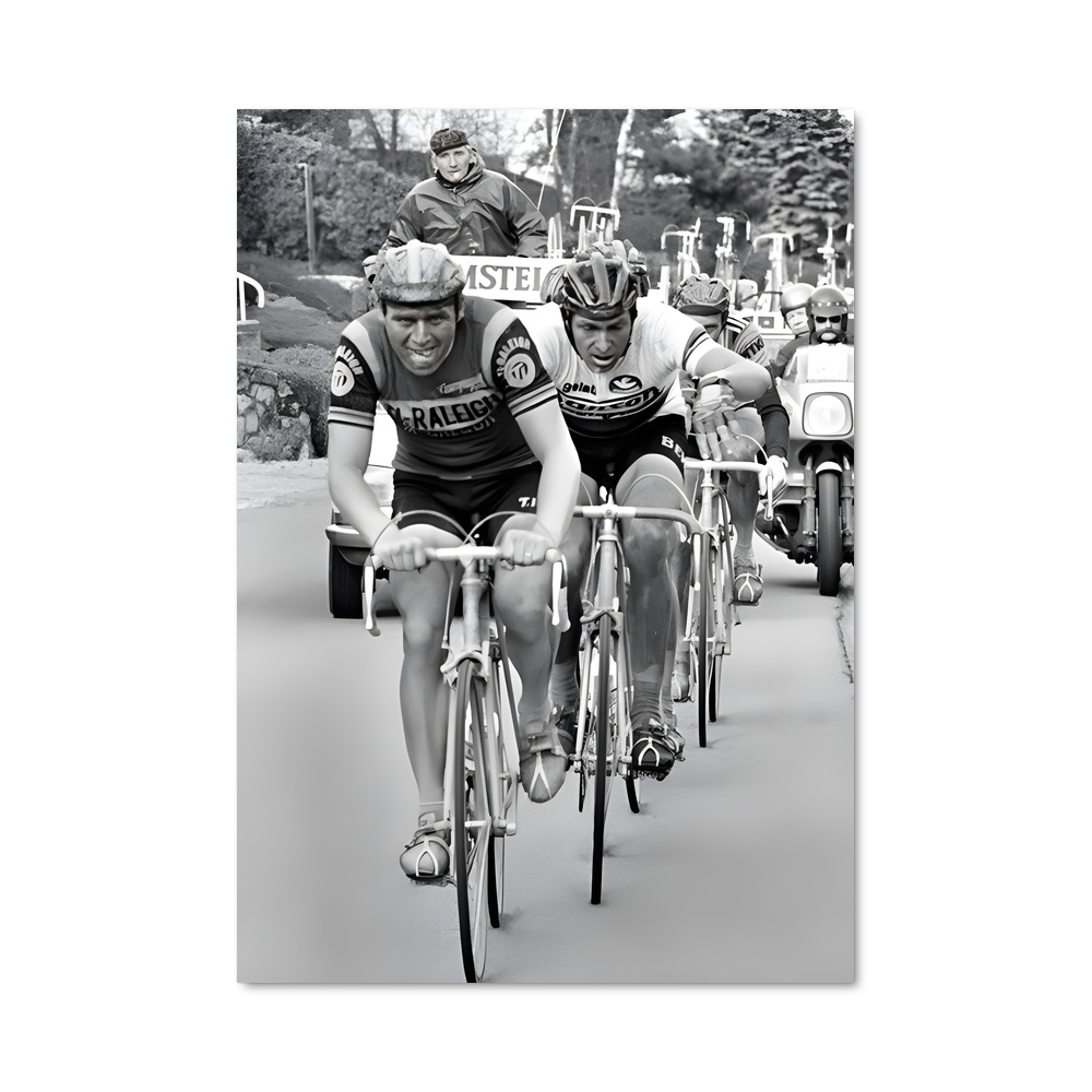 Poster La Route des Cyclistes